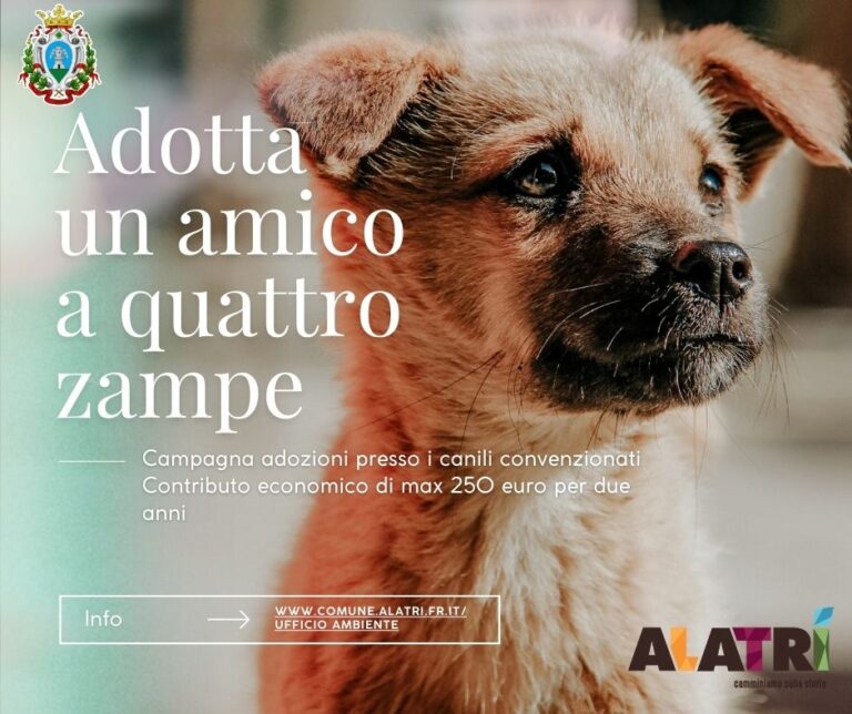 Alatri, parte la campagna “Adotta un amico a quattro zampe”. Previsto un contributo economico per chi aderirà