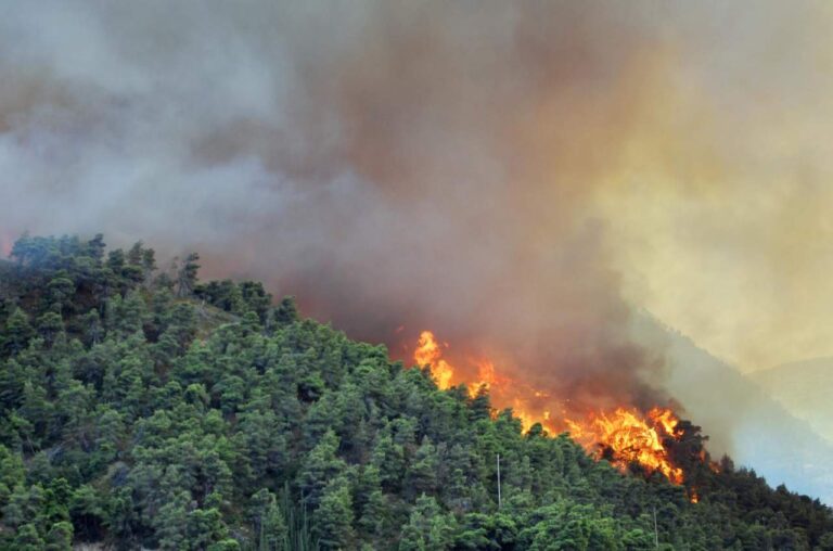 Ceprano, chiesto un presidio stagionale dei vigili del fuoco per combattere l’emergenza incendi
