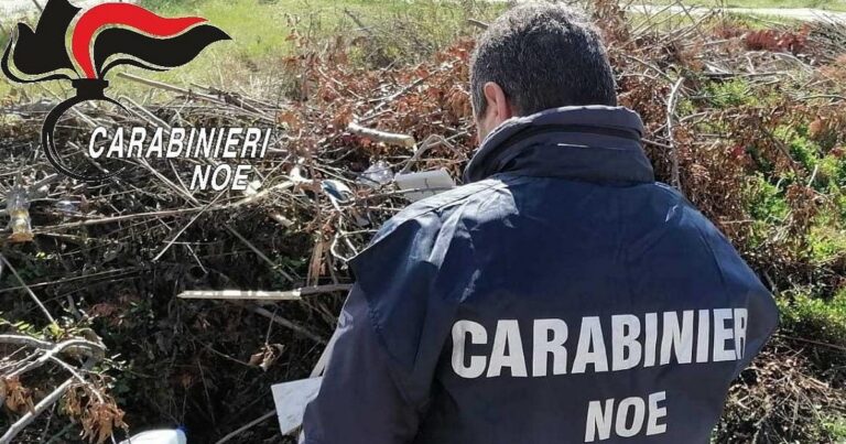 Anagni – Rifiuti, impianto di trattamento non autorizzato: scattano sequestro e denuncia amministratore