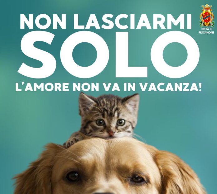 frosinone animali domestici