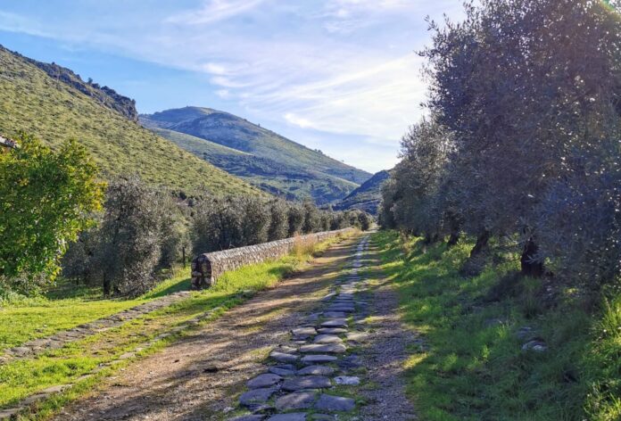 foto Appia Antica 1