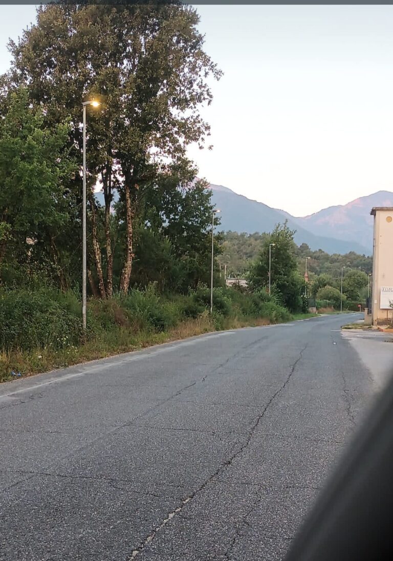 Patrica, luci pubbliche accese anche di giorno e stemma imbrattato: la protesta di cittadini e Comitato