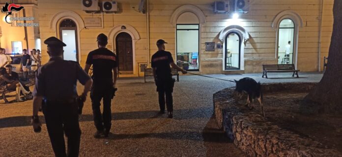 foto cani