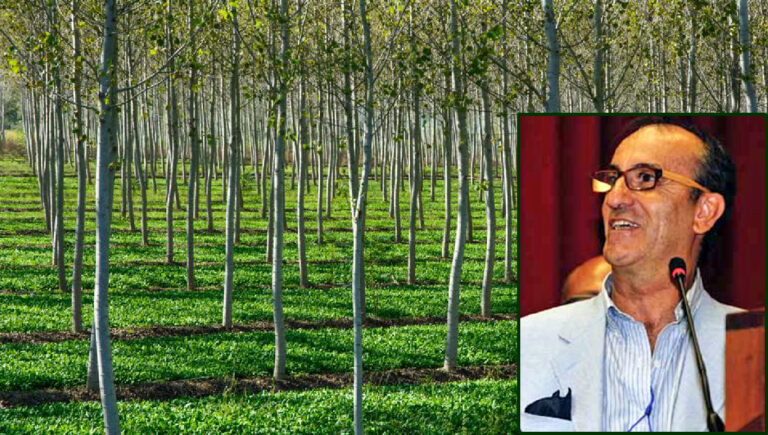 giuseppe sarracino agronomo frosinone alberi green deal