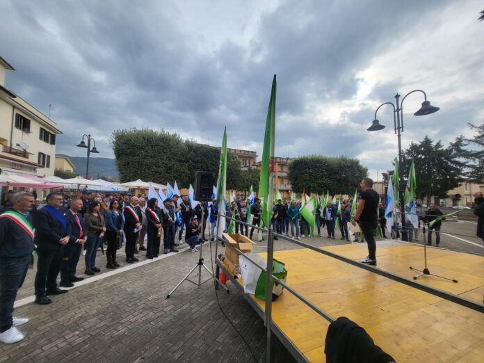 stellantis automotive quadrini lavoro piedimonte stellantis automotive quadrini lavoro piedimonte