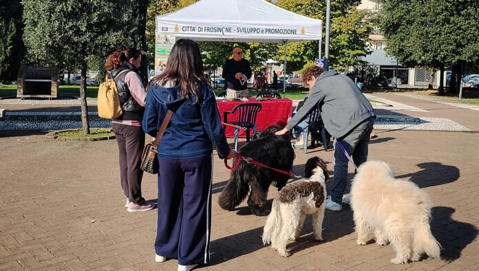 Frosinone Cani in città