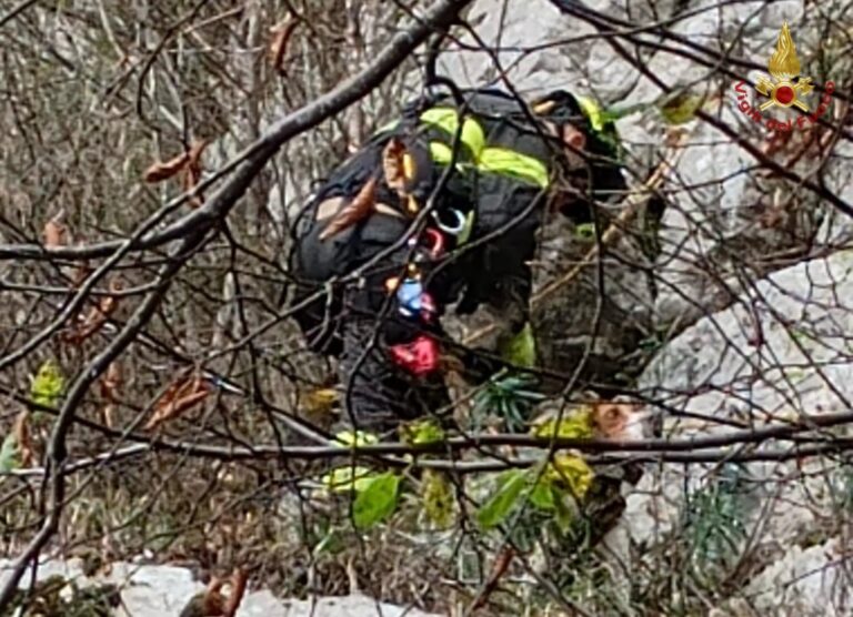 [FOTO] Cane salvato nel burrone: così “Zorro” è stato recuperato dai vigili del fuoco dopo ore di difficile lavoro