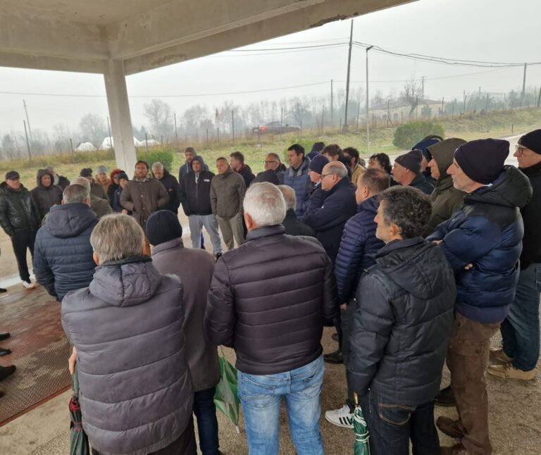 Assemblea Saxa Grestone Roccasecca