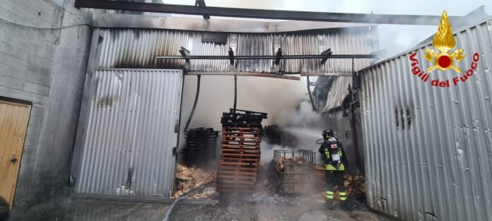 incendio frosinone zona industriale fiamme incendio frosinone zona industriale fiamme