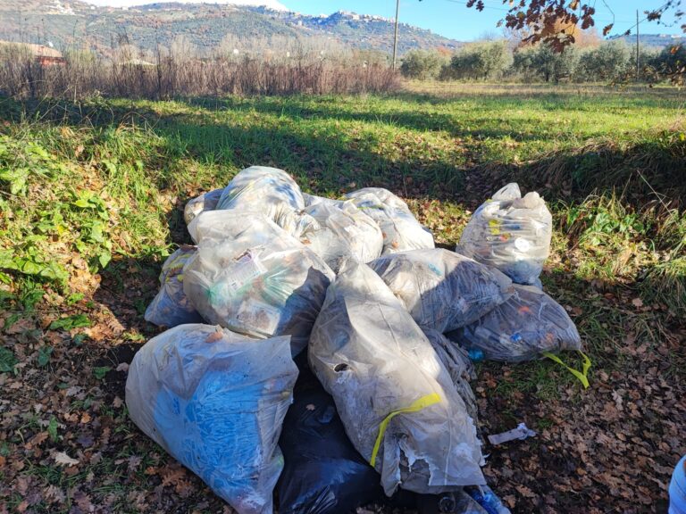 Alatri – Rifiuti e degrado su un terreno privato: denunciato il proprietario