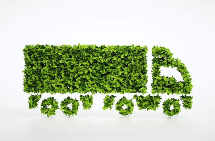 traslochi-green traslochi green