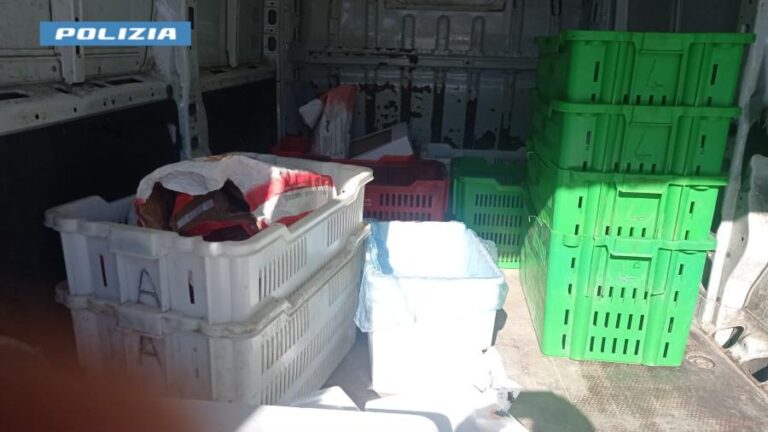 Sora – Trasporta pane e mozzarelle in condizioni igienico-sanitarie non idonee al consumo: multato