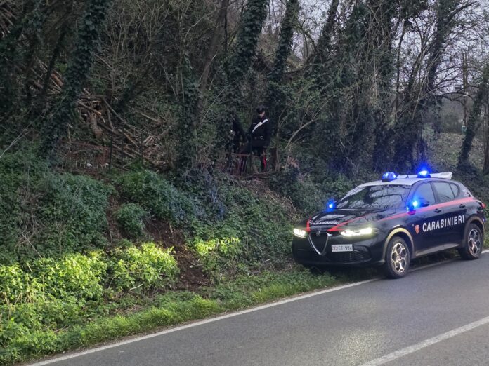 COLLEFERRO - L'intervento dei Carabinieri per il furto di legna (1)