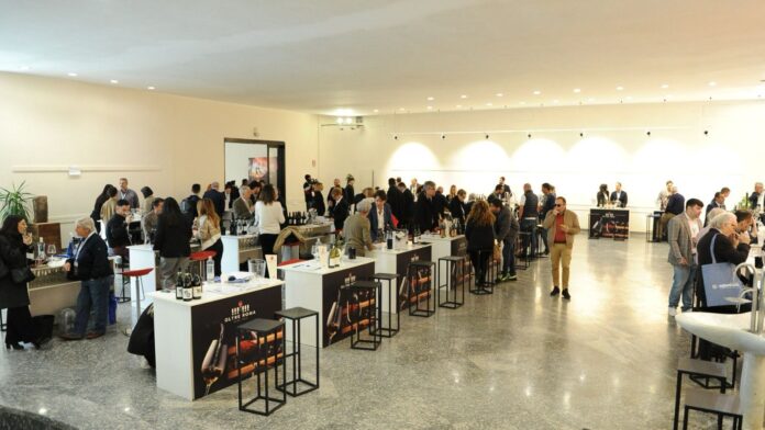 Fiuggi – Oltre Roma Wine Tour, seconda edizione da record Fiuggi – Oltre Roma Wine Tour, seconda edizione da record