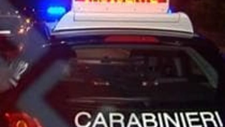 Incidente causato da un animale, salvi quattro giovani