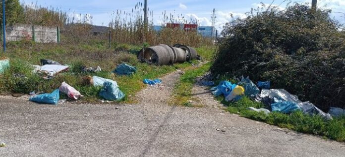 rifiuti frosinone fare verde