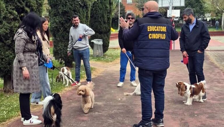 Ferentino-Cani in Città 01