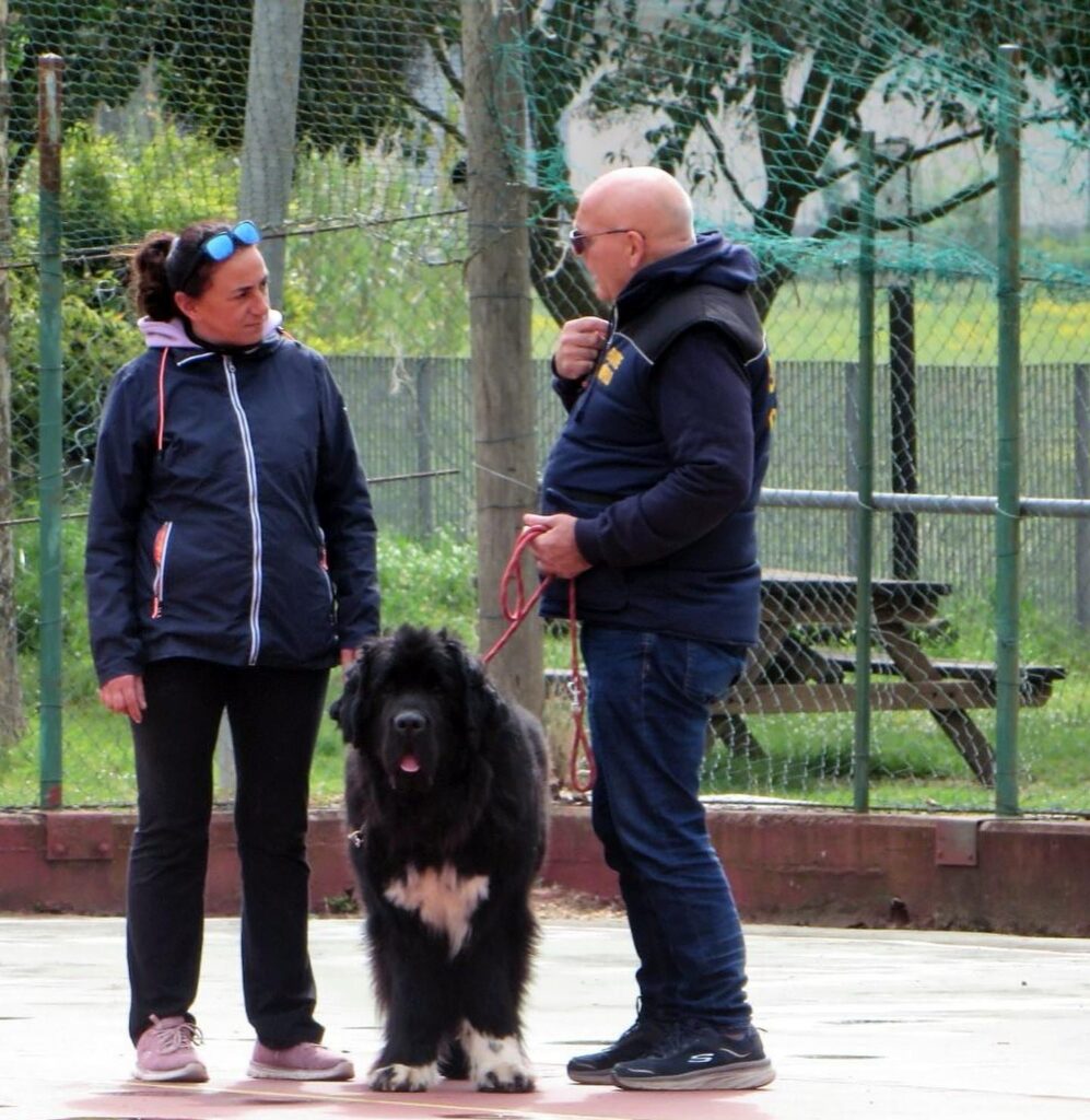Ferentino-Cani in Città 02