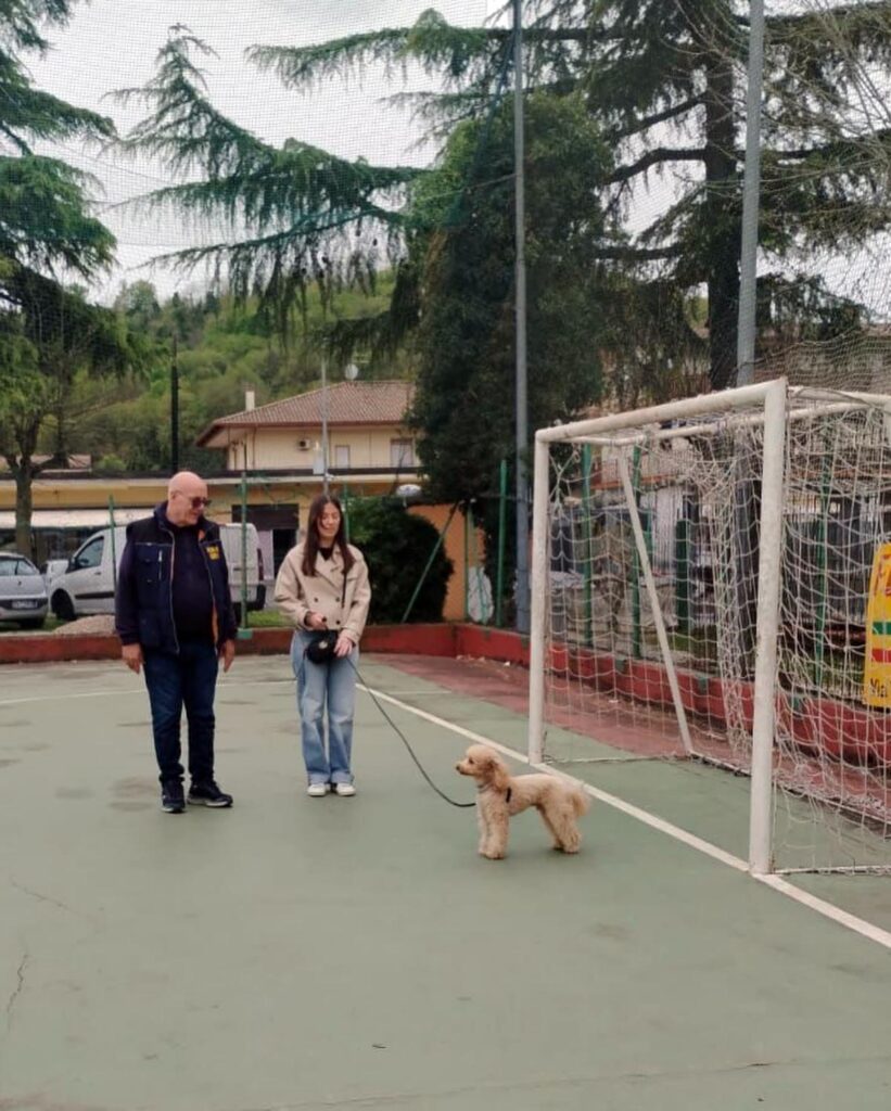 Ferentino-Cani in Città 03