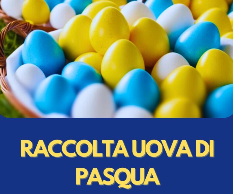 Frosinone, domenica “Gioventù Nazionale” organizza una raccolta di uova pasquali per i bimbi bisognosi