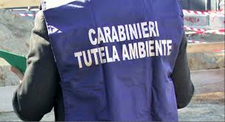 carabinieri tutela ambientale