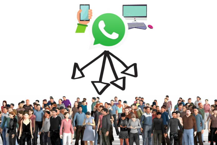 whatsapp whatsapp massivo