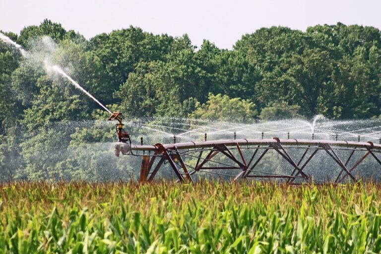 Anbi Lazio – Disposti i fermi impianti irrigui nel Consorzio di Bonifica Valle del Liri di Cassino