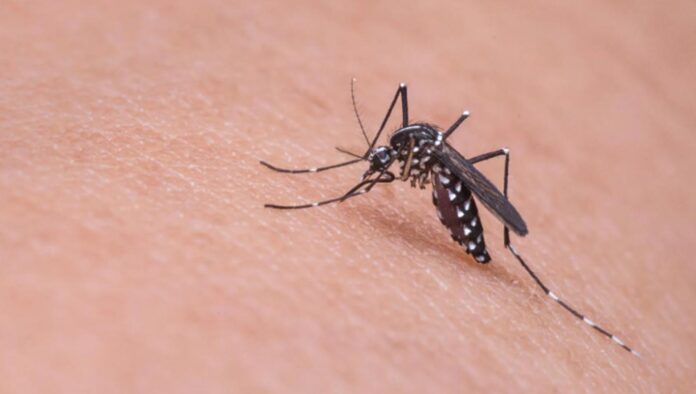 WEST NILE VIRUS WEST NILE VIRUS