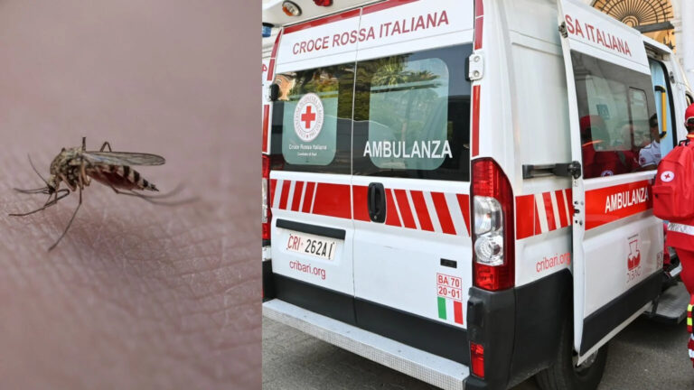 west nile morto