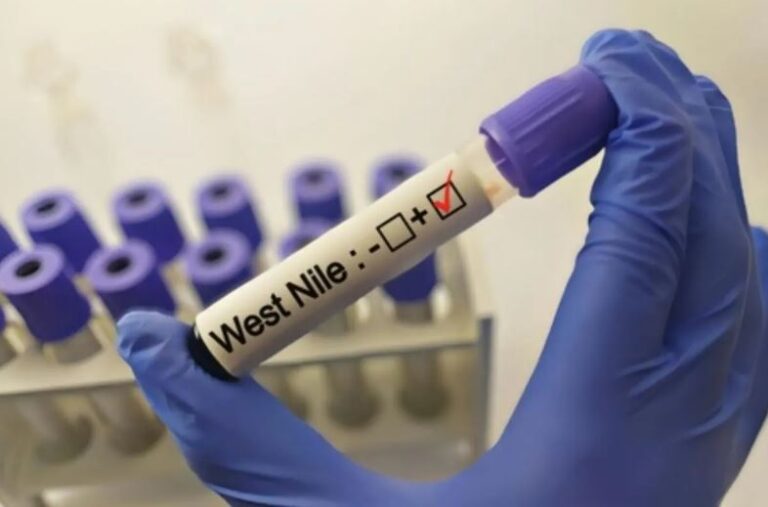 west line virus ciociaria