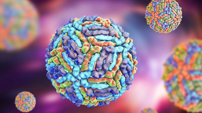 west nile virus latina