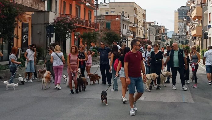 Passeggiata cinofila a Frosinone Passeggiata cinofila a Frosinone