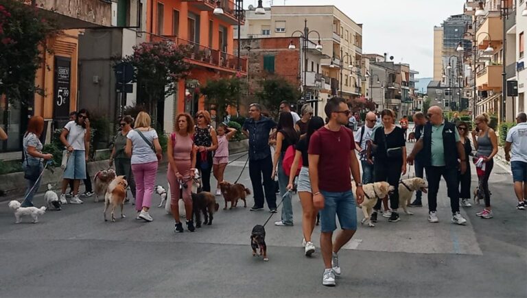 Passeggiata cinofila a Frosinone