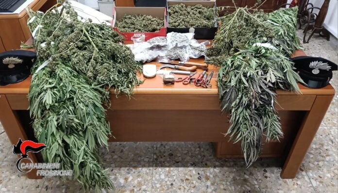 anagni sgurgola droga arresto anagni sgurgola droga arresto