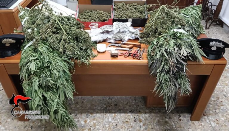 anagni sgurgola droga arresto
