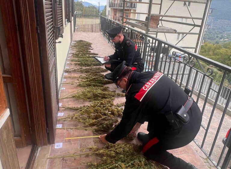 COLLEFERRO La droga sequestrata dai Carabinieri