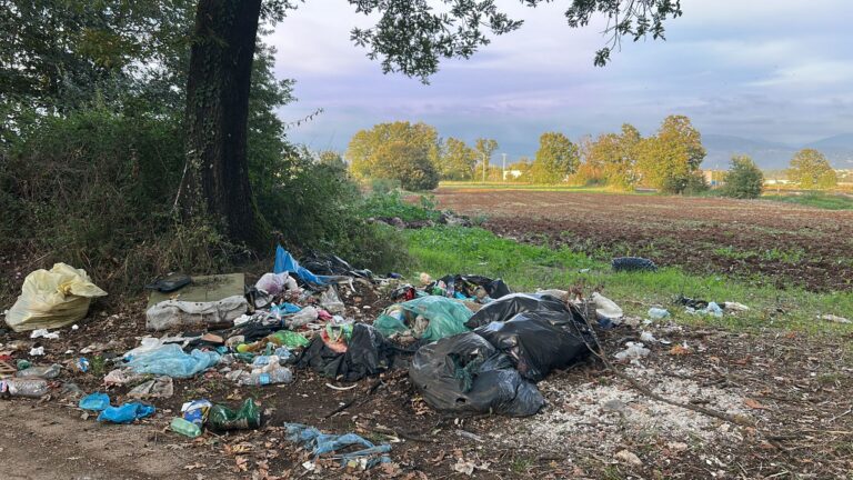 Frosinone. Via Selva dei Muli, una strada costellata di rifiuti