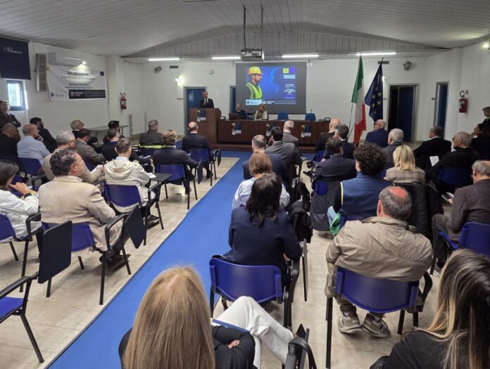 Platea2 (1)
