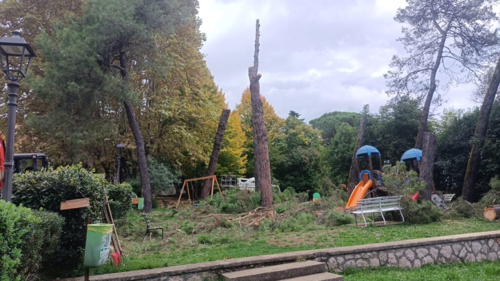 ceccano alberi tagliati