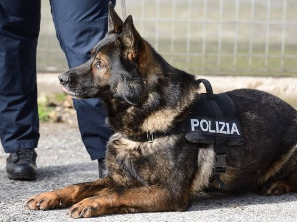 Sora – Parte il progetto “Scuole Sicure” contro lo spaccio vicino agli istituti