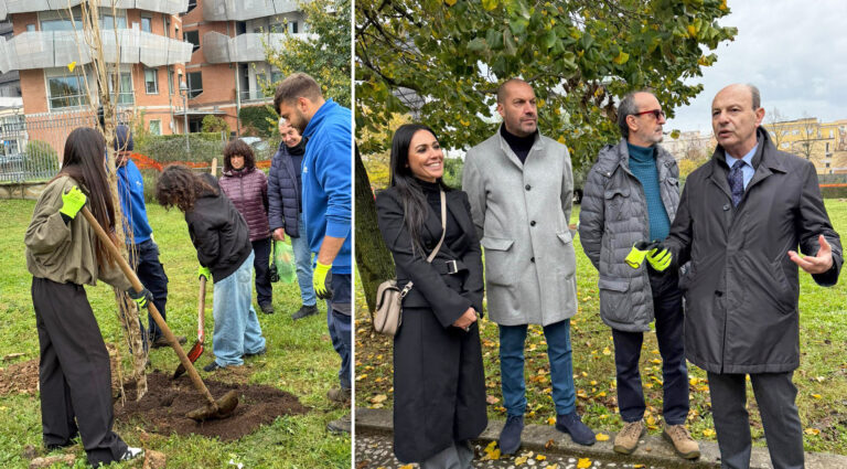 giornata albero frosinone mastrangeli scaccia chiappini sarracino