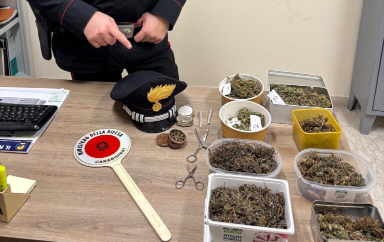 Ausonia, scoperto mini-deposito di marijuana in casa: 61enne denunciato dai Carabinieri