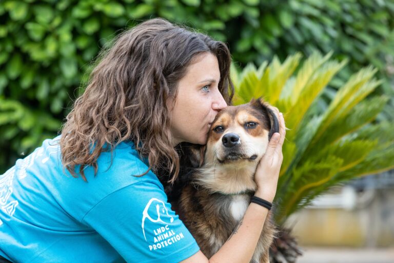 “Un inverno senza gabbie”, parte la Campagna LNDC Animal Protection per adottare i cani nel rifugio di Anguillara Sabazia