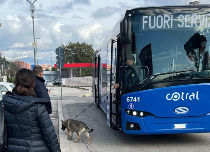 droga cane polizia bus frosinone