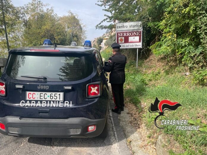 truffa insolvenza fraudolenta piglio serrone