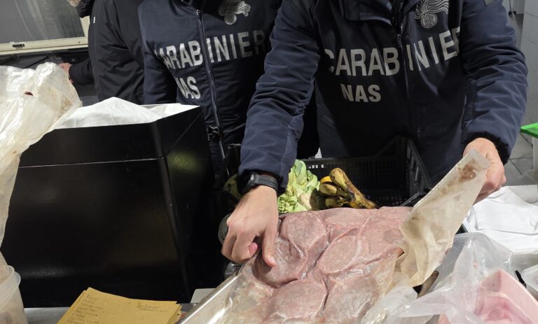 Controlli straordinari dei Carabinieri a Colleferro e Valmontone: sanzioni, denunce e segnalazioni