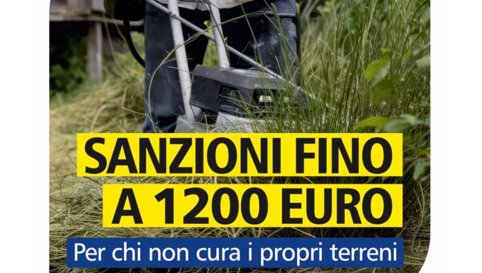 Arce – Decoro urbano e sicurezza