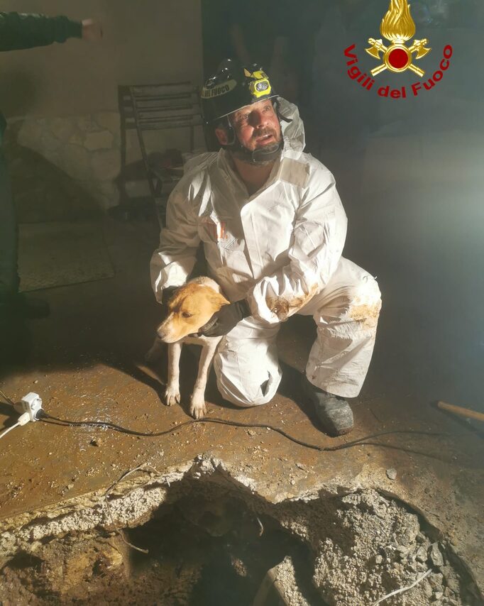 Villa Santa Lucia. I Vigili del Fuoco salvano Teddy, un cagnolino rimasto incastrato in un cunicolo