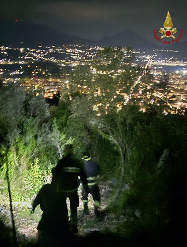 Paura tra i boschi di Montecassino: minorenne inseguito dai cinghiali salvato dai Vigili del Fuoco