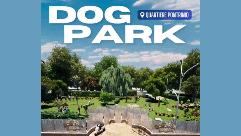DOG PARK